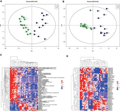 Integrated Metabolomic and Lipidomic Analysis in the Placenta of Preeclampsia